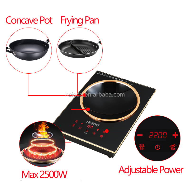 Single burner Built in and Por - Induction Cooktop Portable review and price
