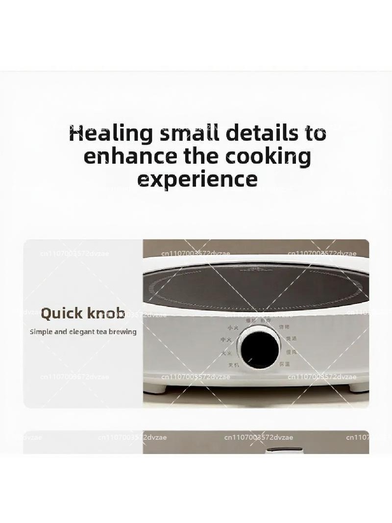 Electric Ceramic Stove Smart I - Induction Cooktop Portable review and price