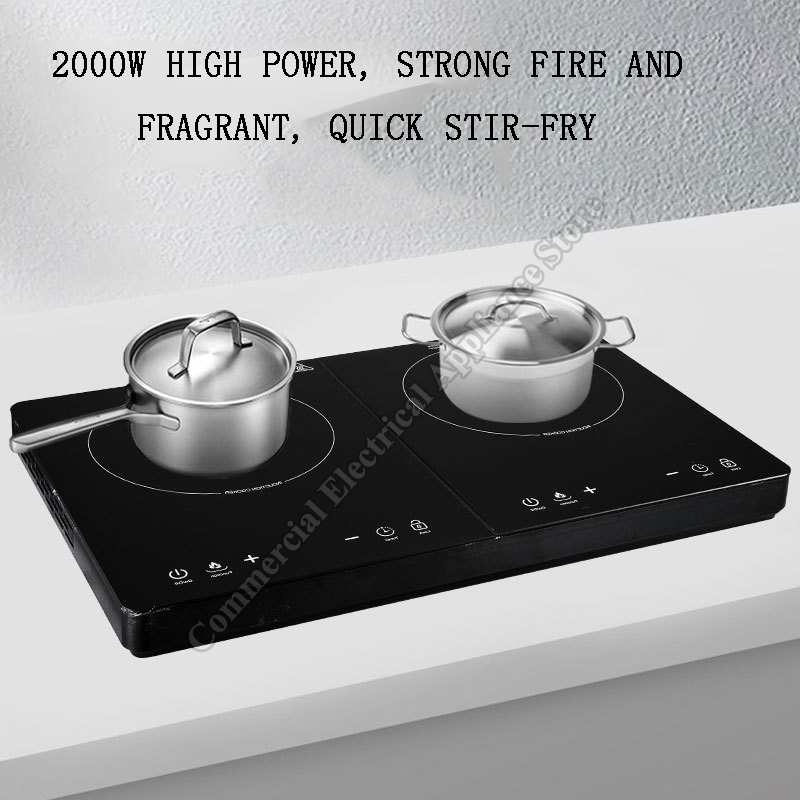 Portable Induction Cooker Cera - Induction Cooktop Portable review and price